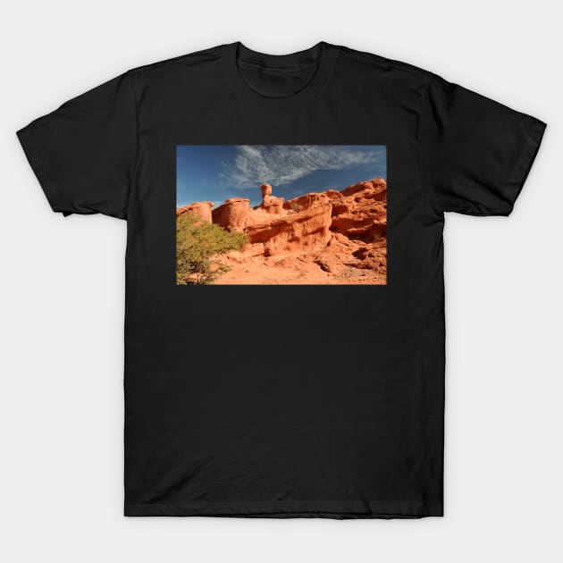 Argentine - Quebrada de las Conchas T-Shirt by franck380